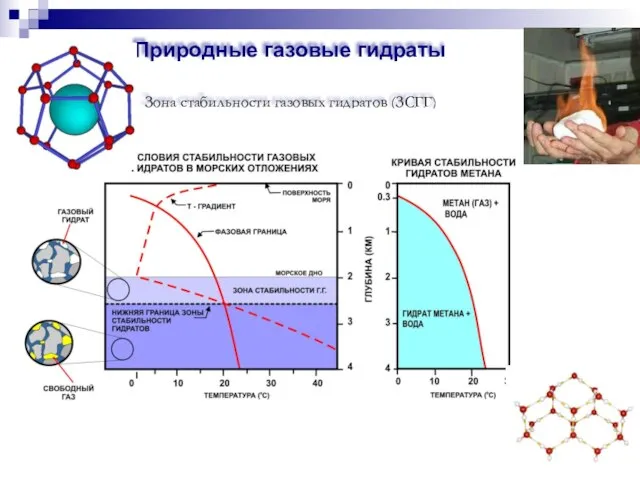 Природные газовые гидраты Зона стабильности газовых гидратов (ЗСГГ)