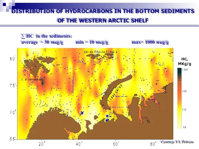 DISTRIBUTION OF HYDROCARBONS IN THE BOTTOM SEDIMENTS OF THE WESTERN ARCTIC SHELF