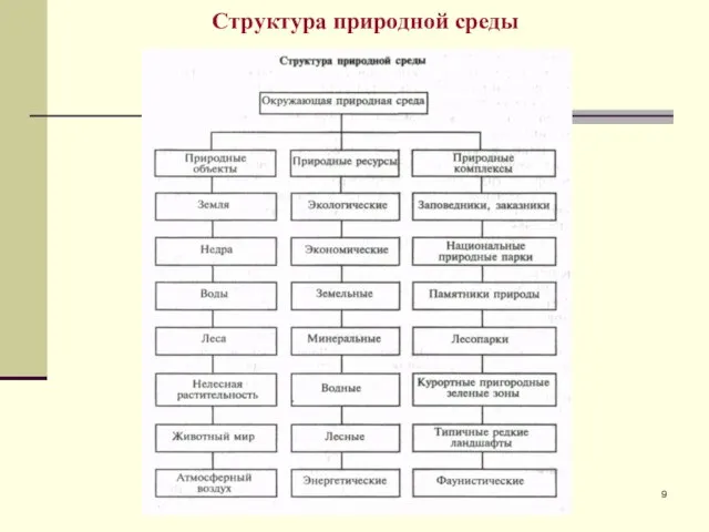 Структура природной среды