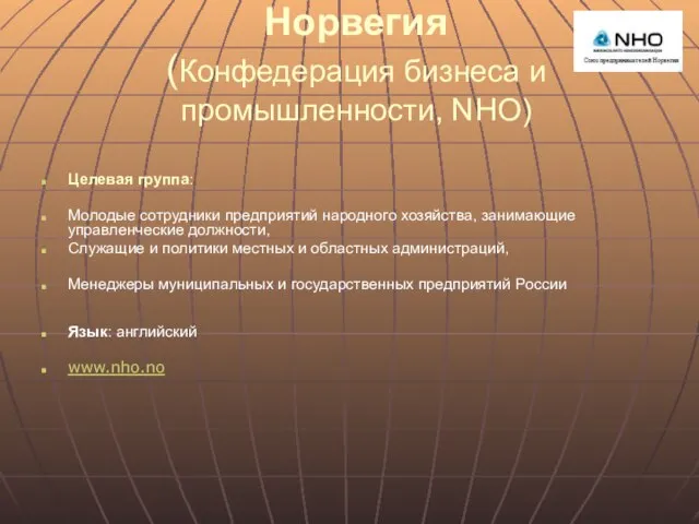 Норвегия (Конфедерация бизнеса и промышленности, NHO) Целевая группа: Молодые сотрудники предприятий народного