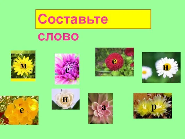 Составьте слово