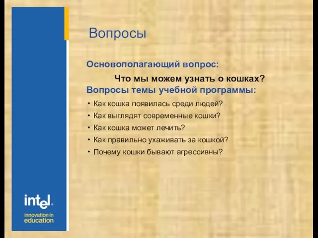 Вопросы Основополагающий вопрос: Что мы можем узнать о кошках? Вопросы темы учебной