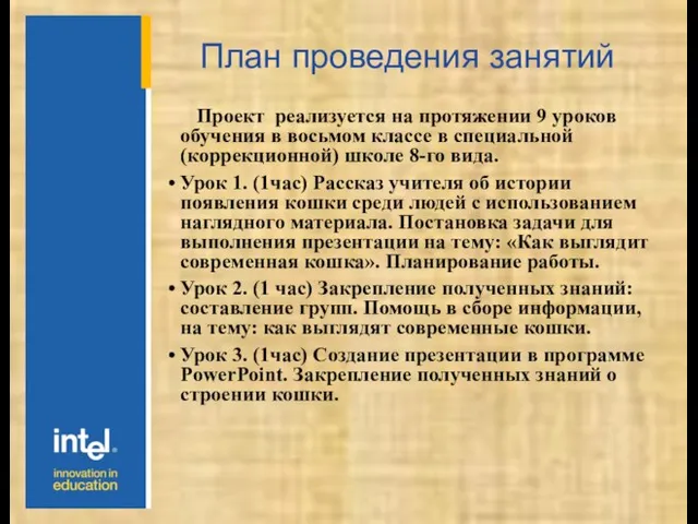 План проведения занятий Проект реализуется на протяжении 9 уроков обучения в восьмом