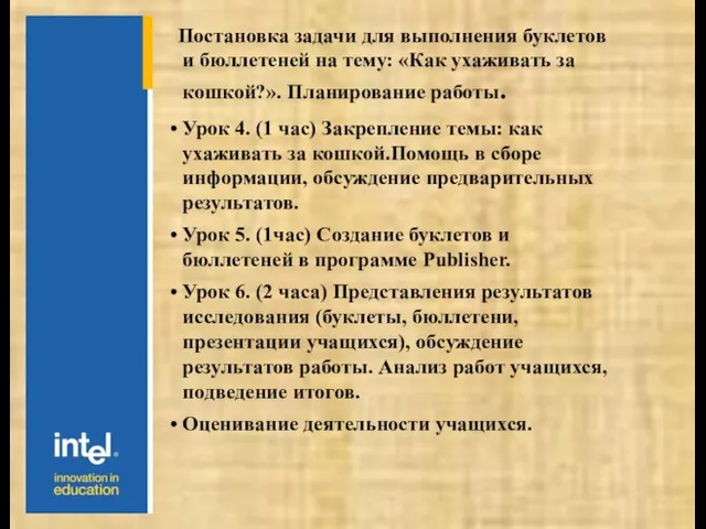 Постановка задачи для выполнения буклетов и бюллетеней на тему: «Как ухаживать за