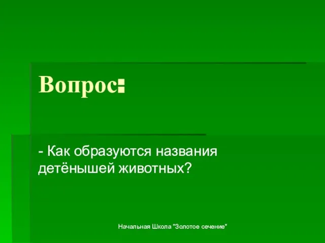 Вопрос: - Как образуются названия детёнышей животных? Начальная Школа "Золотое сечение"