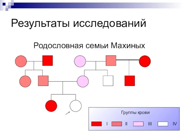 Результаты исследований Родословная семьи Махиных Группы крови I II III IV