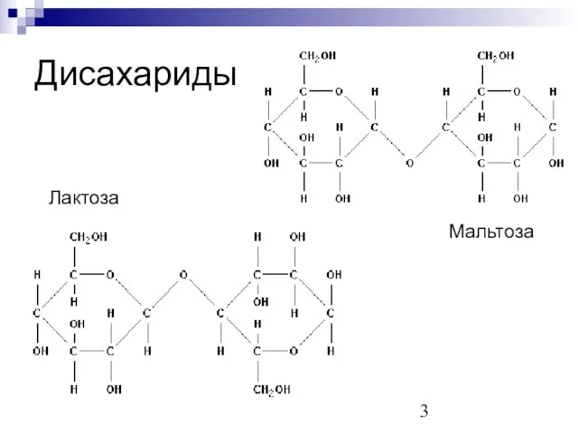 Дисахариды Мальтоза Лактоза