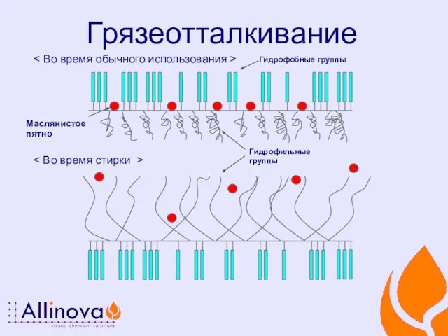 Грязеотталкивание Маслянистое пятно Гидрофобные группы Гидрофильные группы