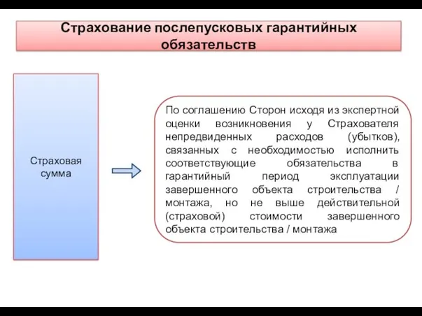 Страхование послепусковых гарантийных обязательств По соглашению Сторон исходя из экспертной оценки возникновения