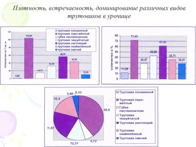 Плотность, встречаемость, доминирование различных видов трутовиков в урочище