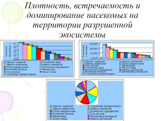 Плотность, встречаемость и доминирование насекомых на территории разрушенной экосистемы