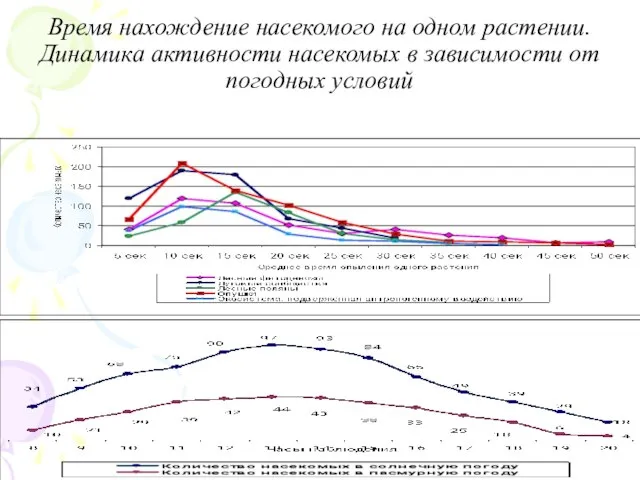 Время нахождение насекомого на одном растении. Динамика активности насекомых в зависимости от погодных условий