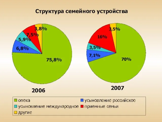 Структура семейного устройства 2006 2007