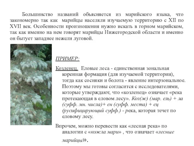 Большинство названий объясняется из марийского языка, что закономерно так как марийцы населяли