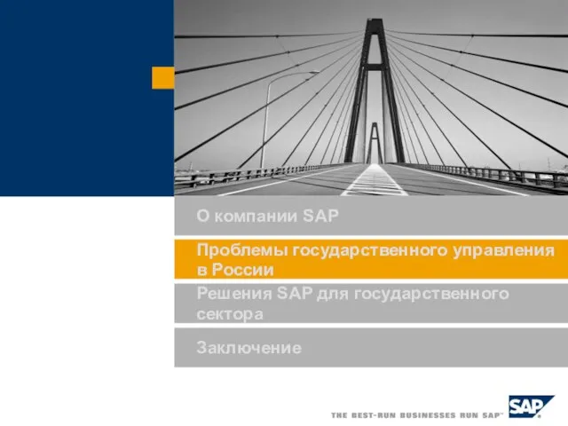 Решения SAP для государственного сектора Заключение О компании SAP Проблемы государственного управления в России