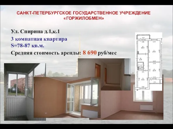 3 комнатная квартира S=78-87 кв.м. Средняя стоимость аренды: 8 690 руб/мес САНКТ-ПЕТЕРБУРГСКОЕ