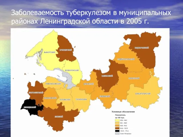 Заболеваемость туберкулезом в муниципальных районах Ленинградской области в 2005 г.