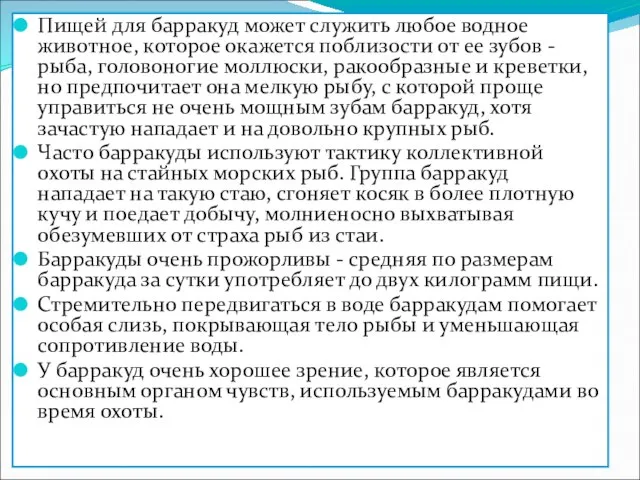 Пищей для барракуд может служить любое водное животное, которое окажется поблизости от