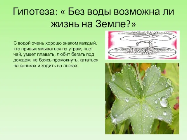 Гипотеза: « Без воды возможна ли жизнь на Земле?» С водой очень