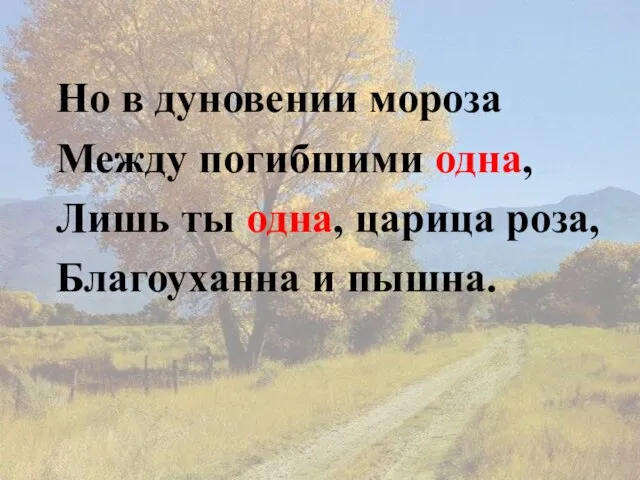 Но в дуновении мороза Между погибшими одна, Лишь ты одна, царица роза, Благоуханна и пышна.