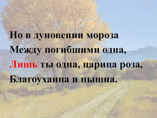 Но в дуновении мороза Между погибшими одна, Лишь ты одна, царица роза, Благоуханна и пышна.