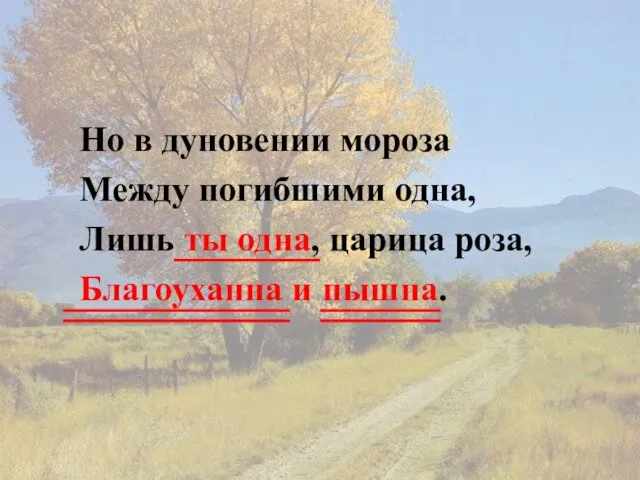 Но в дуновении мороза Между погибшими одна, Лишь ты одна, царица роза, Благоуханна и пышна.