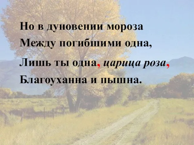 Но в дуновении мороза Между погибшими одна, Лишь ты одна, царица роза, Благоуханна и пышна.