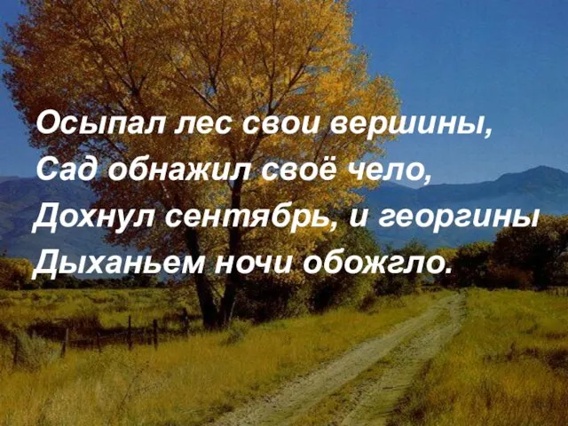 Осыпал лес свои вершины, Сад обнажил своё чело, Дохнул сентябрь, и георгины Дыханьем ночи обожгло.