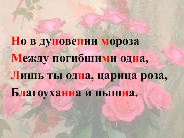 Но в дуновении мороза Между погибшими одна, Лишь ты одна, царица роза, Благоуханна и пышна.