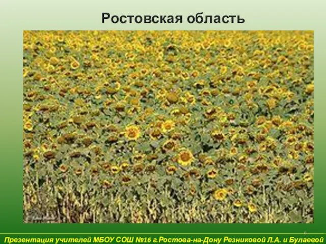 Презентация учителей МБОУ СОШ №16 г.Ростова-на-Дону Резниковой Л.А. и Булаевой Е.В. Ростовская область