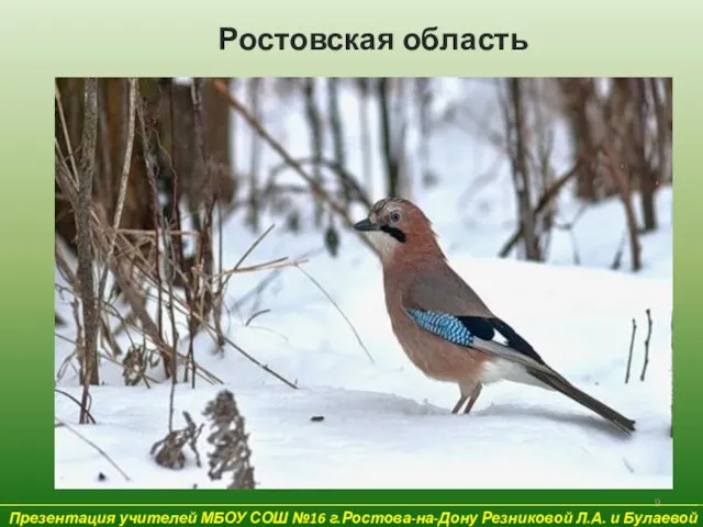 Презентация учителей МБОУ СОШ №16 г.Ростова-на-Дону Резниковой Л.А. и Булаевой Е.В. Ростовская область