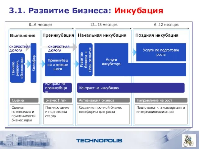 3.1. Развитие Бизнеса: Инкубация Выявление Преинкубация Начальная инкубация Поздняя инкубация Развитие бизнеса