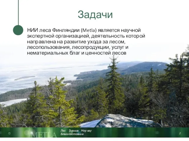  Задачи НИИ леса Финляндии (Metla) является научной экспертной организацией, деятельность которой