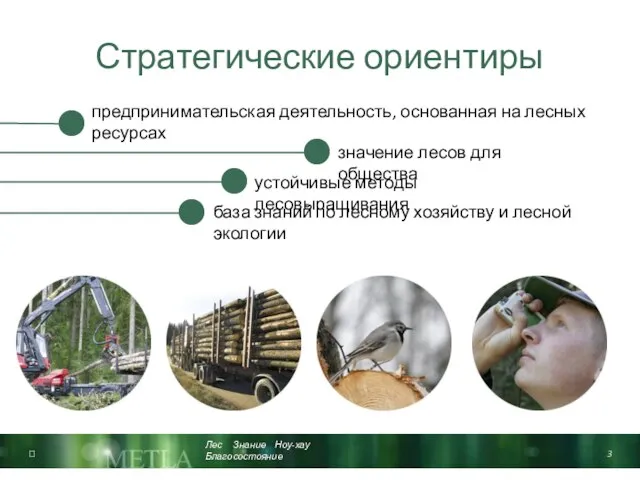 Стратегические ориентиры значение лесов для общества устойчивые методы лесовыращивания база знаний по