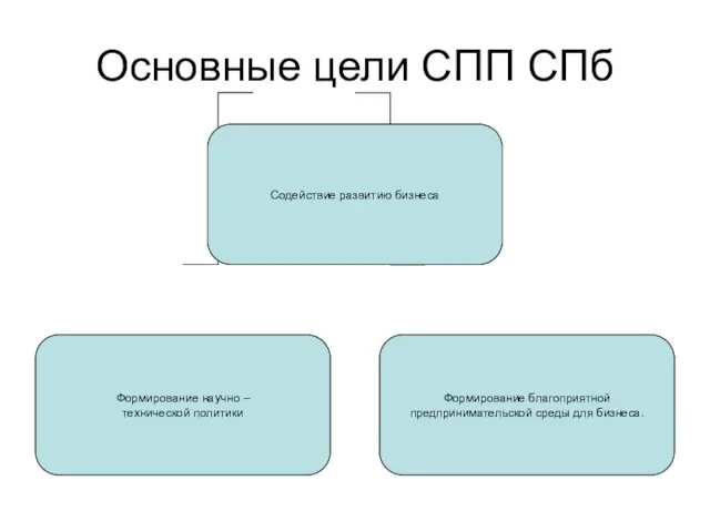 Основные цели СПП СПб