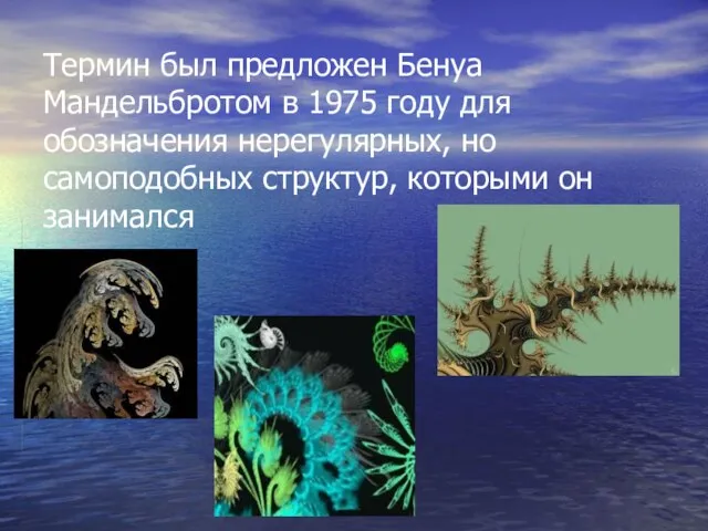 Термин был предложен Бенуа Мандельбротом в 1975 году для обозначения нерегулярных, но