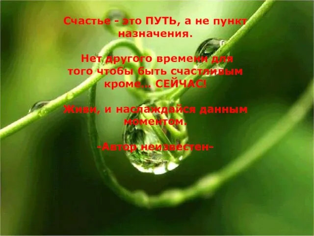 Счастье - это ПУТЬ, а не пункт назначения. Нет другого времени для