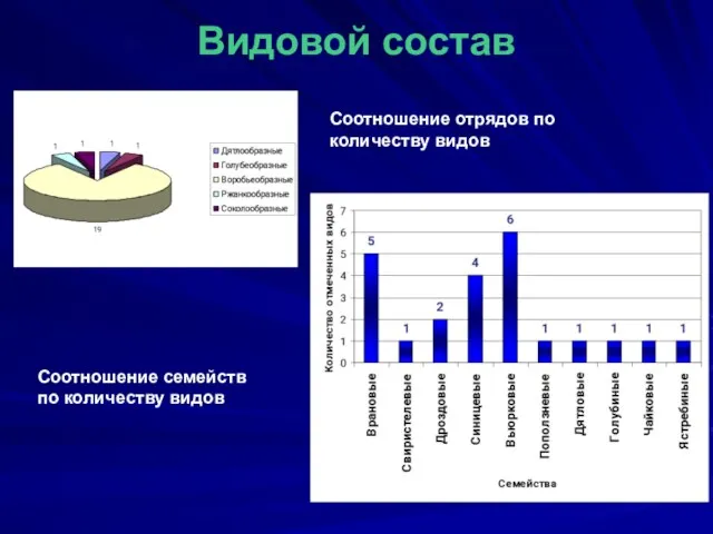 Видовой состав Соотношение отрядов по количеству видов Соотношение семейств по количеству видов