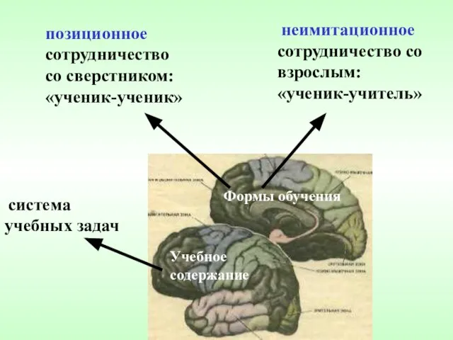 система учебных задач Формы обучения неимитационное сотрудничество со взрослым: «ученик-учитель» позиционное сотрудничество