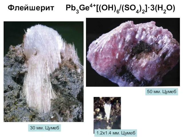 Флейшерит Pb3Ge4+[(OH)6/(SO4)2]·3(H2O) 30 мм. Цумеб 50 мм. Цумеб 1.2х1.4 мм. Цумеб