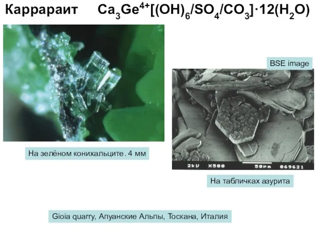 Каррараит Ca3Ge4+[(OH)6/SO4/CO3]·12(H2O) На зелёном конихальците. 4 мм На табличках азурита BSE image