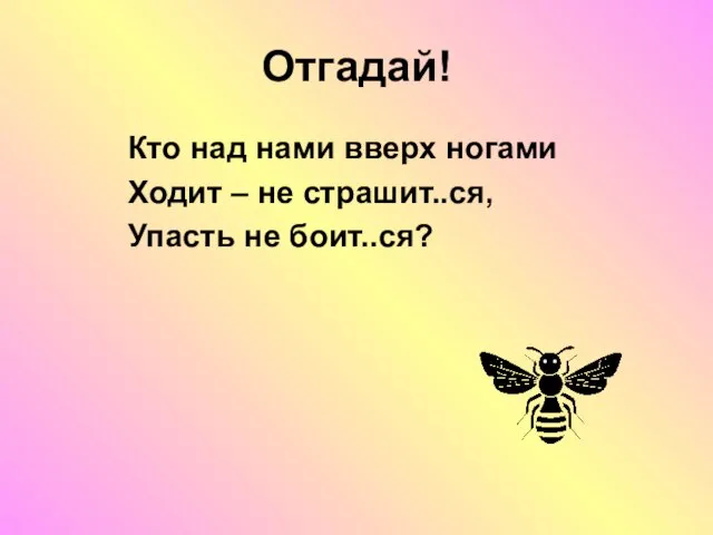 Отгадай! Кто над нами вверх ногами Ходит – не страшит..ся, Упасть не боит..ся?