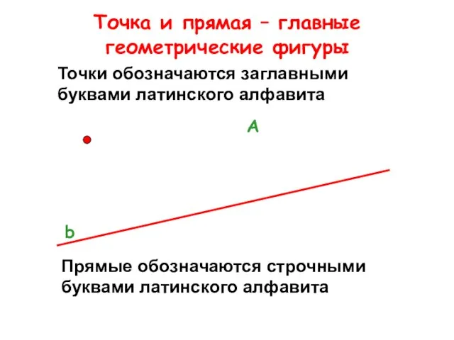 Точка и прямая – главные геометрические фигуры Точки обозначаются заглавными буквами латинского