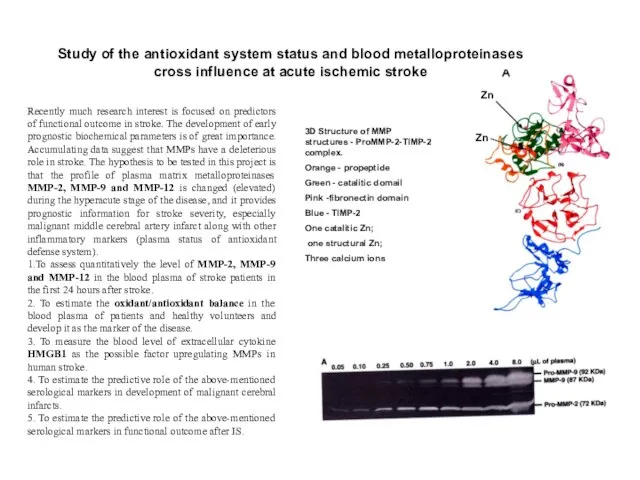 Study of the antioxidant system status and blood metalloproteinases cross influence at