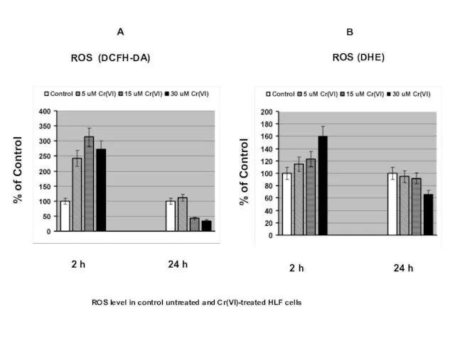 % of Control % of Control ROS (DCFH-DA) ROS (DHE) 2 h