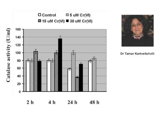 2 h 4 h 24 h 48 h Catalase activity (U/ml) Dr Tamar Kartvelishvili