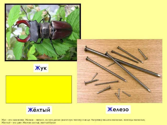 Жук – это насекомое. Железо – металл, из него делаю различную технику