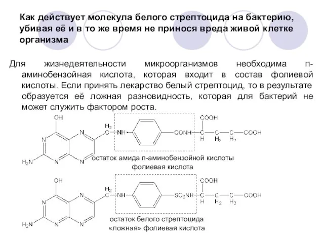 Как действует молекула белого стрептоцида на бактерию, убивая её и в то