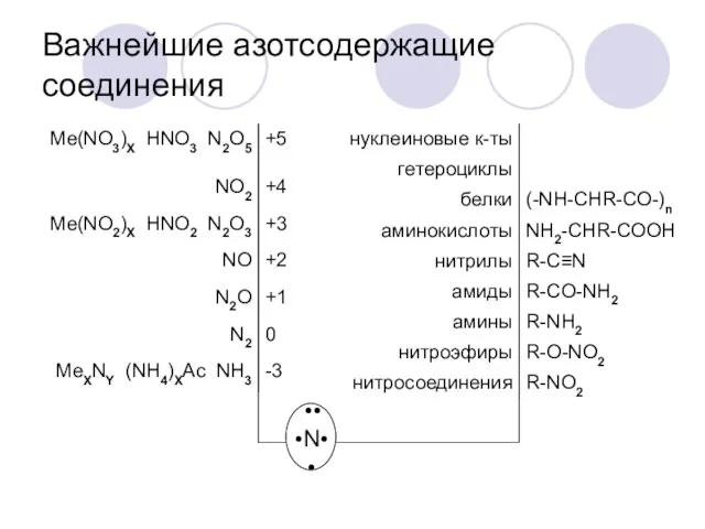 Важнейшие азотсодержащие соединения •• •N• •