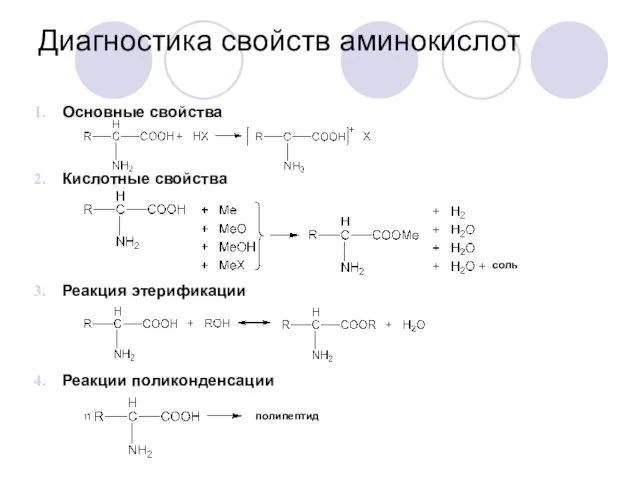 Диагностика свойств аминокислот Основные свойства Кислотные свойства Реакция этерификации Реакции поликонденсации соль полипептид